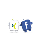 Social Icons kleinXI + FB