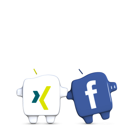 Social Icons klein<br />XI + FB